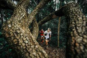 BIB: 
                            <button type="button" onclick="openModal(25393442)" class="btn btn-primary btn-sm float-right btn-popup" data-toggle="modal" data-target=".modal-high-quality">
                        <i class="fas fa-shopping-cart"></i> Add to Cart
                    </button>
                                            <button type="button" onclick="isThisMe(25393442, true)" class="btn btn-success btn-sm float-right btn-popup btn-isme hidden" data-toggle="tooltip" data-placement="bottom" title="นี่คือรูปของคุณใช่ไหม คลิกที่นี่เพื่อเอาเข้าอัลบั้ม">
                        <i class="fas fa-plus"></i> Add to album
                    </button>
                    <button type="button" onclick="isThisMe(25393442, false)" class="btn btn-warning btn-sm float-right btn-popup btn-isnotme hidden">
                        <i class="fas fa-ban"></i> Remove from album
                    </button>